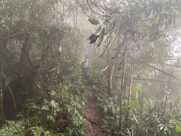 馬那邦山.細道邦山【你 不能預判山的變幻莫測】2401524