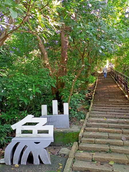 【南山神壽任務尋寶趣】國際化的象山親山步道1596467