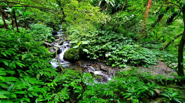 抹茶山，聖母登山步道，隆隆山，福卯古道，水柳腳登山步道，觀音台步道，北勢溪自行車道1742235