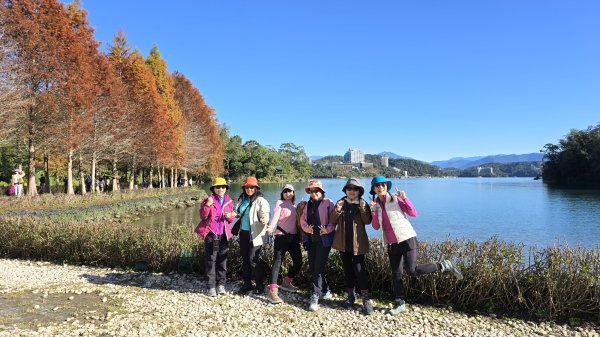 中部最美的落羽松，最美的自行車道，向山遊客中心的落羽松，最迷人的時候，美的不可思議，彷彿置身在潑墨畫2685347