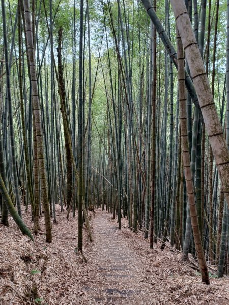 嘉南雲峰石壁山步道