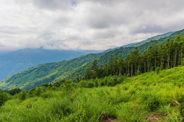 [新竹]鵝公髻山2555244