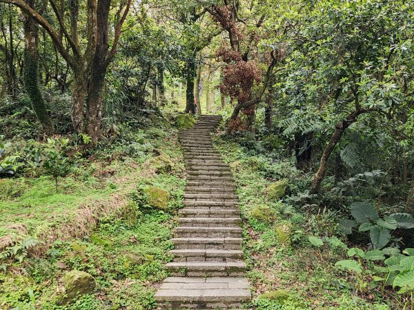 小百岳No.12⛰汐止大尖山2751647