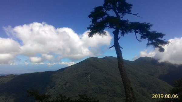 蟬鳴鳥叫蝶飛舞-復興三尖之夫婦山646127