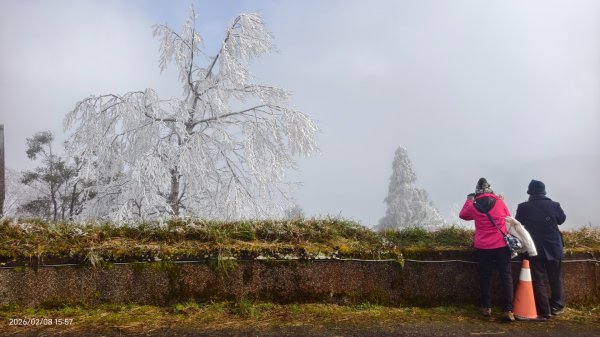 #霧淞 #雲海 #雲瀑 #霧虹 #太平山 #望洋山 #觀雲步道 #翠峰道路  2/82995378