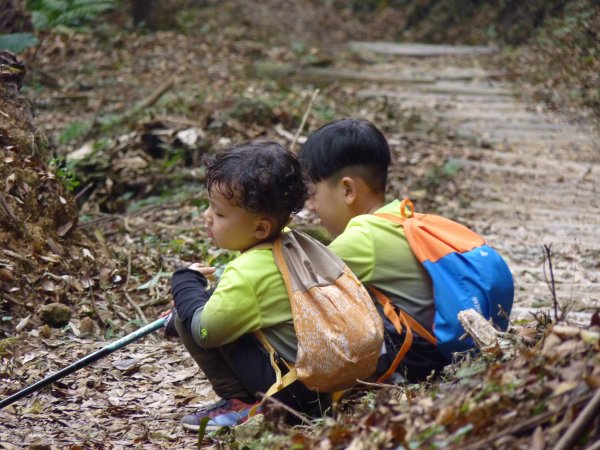 阿興阿賢馬那邦山563640