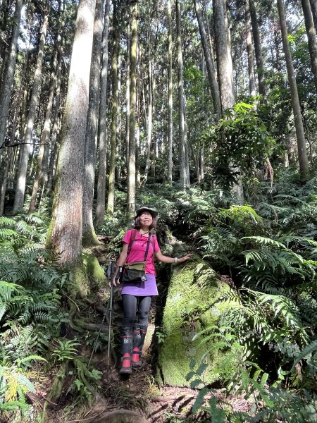 鵝公髻山-第一登山口來回-202408112573486