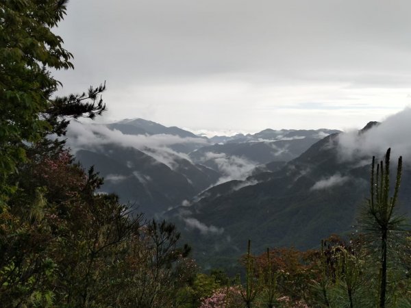 玉山主西東峰之行~1081673