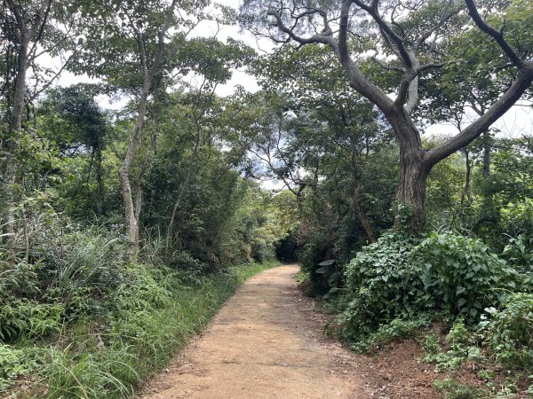 [皮皮獅探險隊-05/10] 2025_0706 石光古道2831852