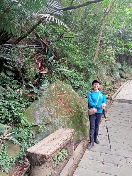 【臺北大縱走4】風櫃嘴→雙溪溝古道→五指山古道→大崙頭山北面步道→許願步道→圓覺寺步道→大溝溪→大湖2469064