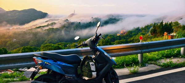 石碇趴趴走追雲趣 #二格山 #雲瀑 #藍腹鷴母鳥 #雲海流瀑 #霧虹 5/17封面