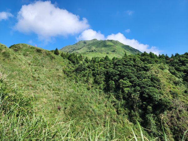 小百岳No.2⛰七星山主峰×七星山東峰2396348