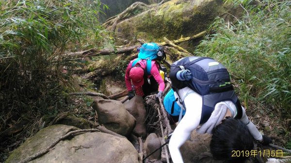 小百岳行~加里山(#34)，苗栗縣山500964