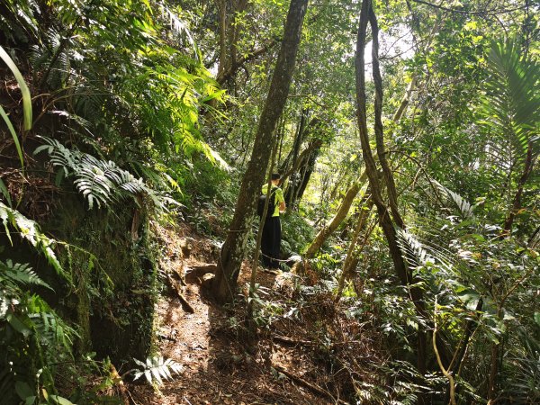 二格山越嶺貓空2735637