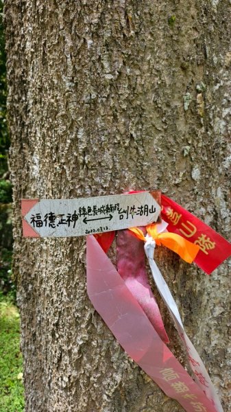 20250417小百岳🤣烏山 刣牛湖山縱走2764717