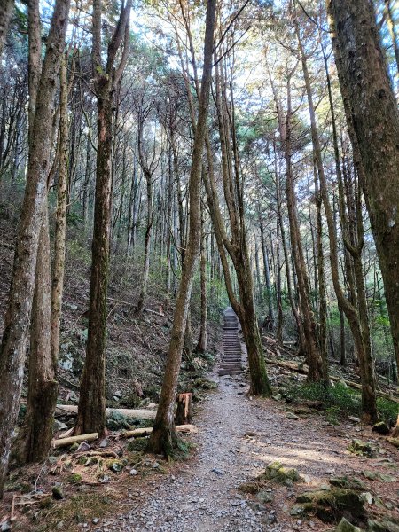 小百岳集起來-稍來山2181424