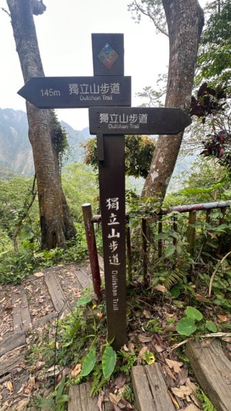 雲嘉連峰/青年嶺/水社寮2750449