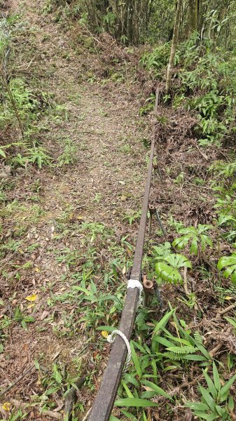 20250714灰窯山-司公碗帽山-南山坪山-平湖山-蝙蝠洞(乾溼洞)2836126