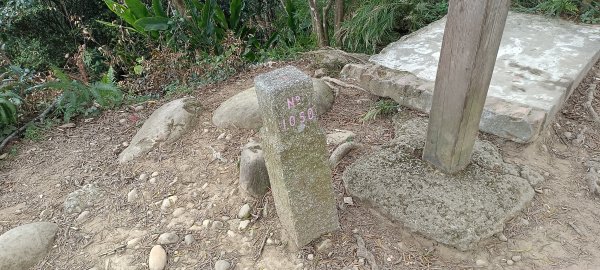 20231112_飛鳳山+觀日坪古道(含中坑山+石壁潭山)2344950