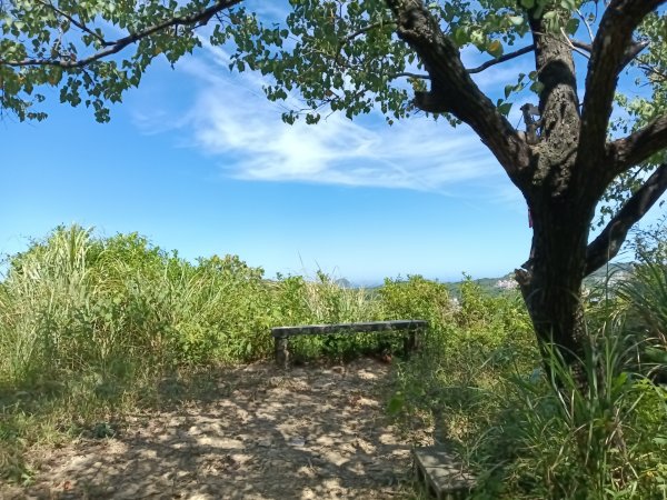 基隆市金交椅山+金交椅南峰+紅淡山東北峰、北北峰、北峰+紅淡山+厲翼嶺出三坑車站2903191