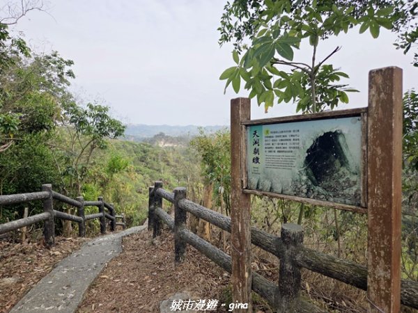 【高雄大社】小百岳大社觀音山步道3013127
