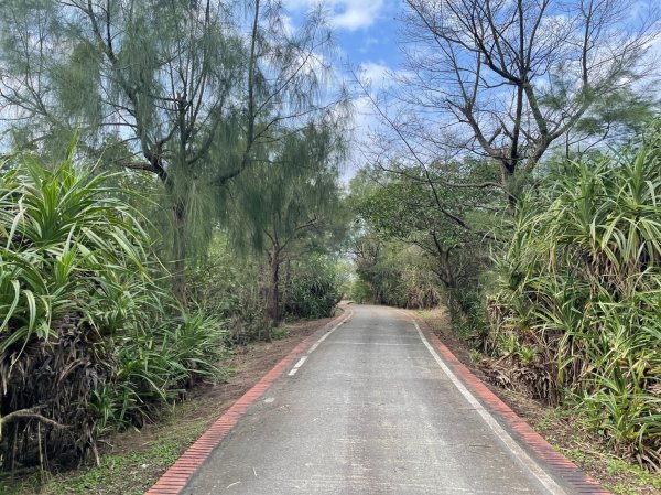 新北｜貢寮．雙溪 淡蘭古道北路．楊廷理古徑（TK1-9～TK1-11 一般道路、嶐嶺古道）2172807