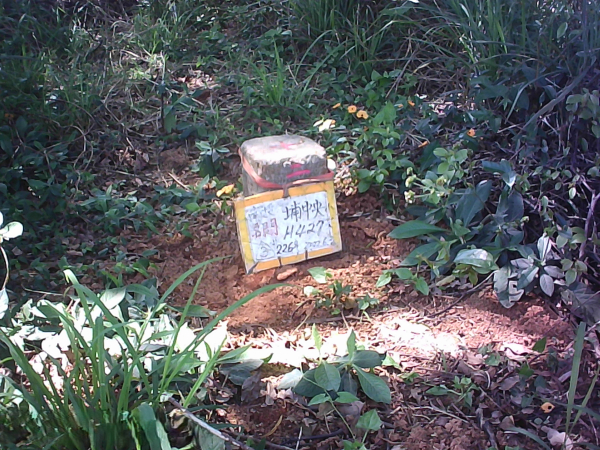 探勘八卦山埔中央至樟普寮等基石+樂園濁水溪右町杭標