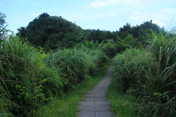 淡蘭古道之暖東舊道 五分山 202006281405514