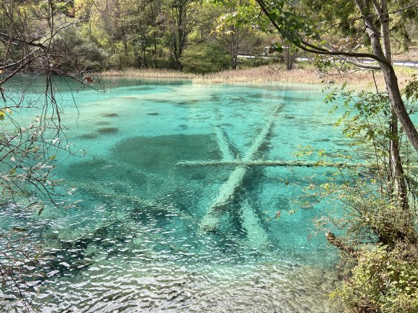 九寨溝風景2928129