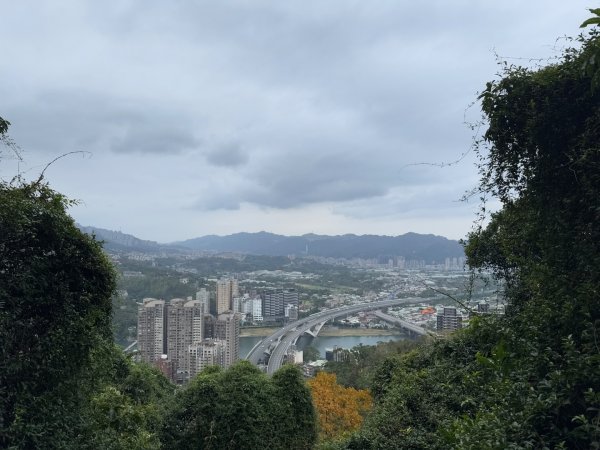 2025元旦 新店獅頭山（小獅山）順遊 高麗坑山，員潭子坑山，待荖坑山，樟湖山，樟山 出政大2680970