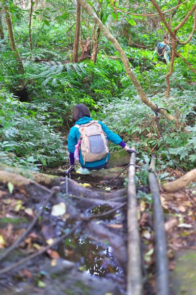 嘎色鬧登那結山2392519