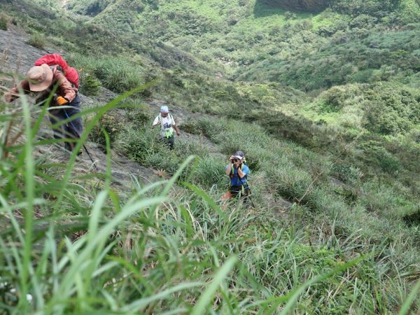 半平山斷崖水管路(瑞芳小錐麓)114877