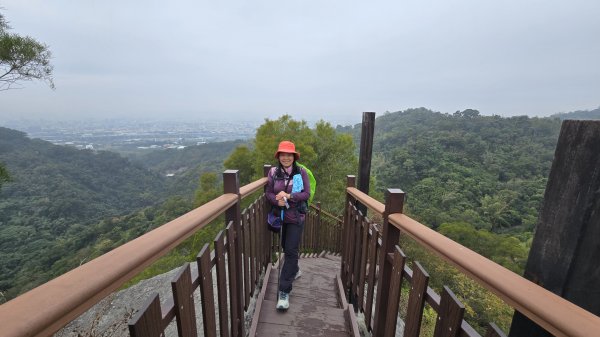 2025年元旦，熱血一日抓三座小百岳，聚興山、暗影山及阿罩霧山，在步步高昇的聚興山，祝您步步高昇。2690143