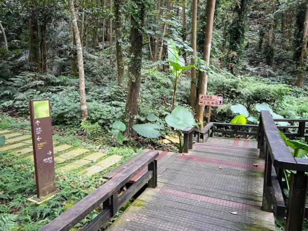 龍美步道 土匪山 公興森態園區2556353