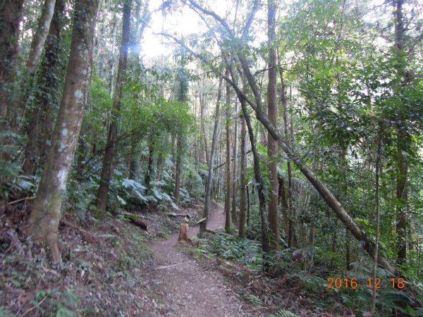 20161218_馬那邦山874317