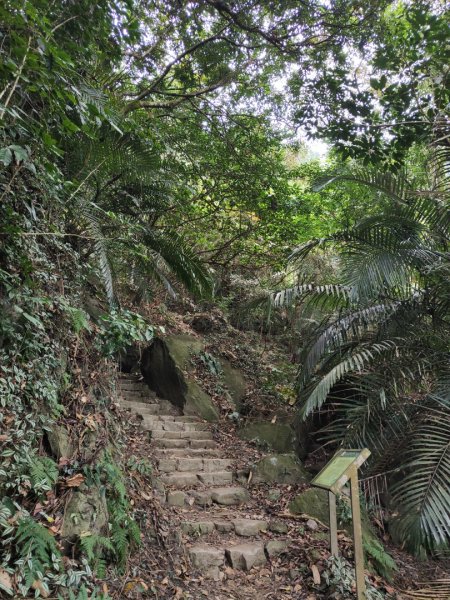 2023.12.23 崁頭山2833298