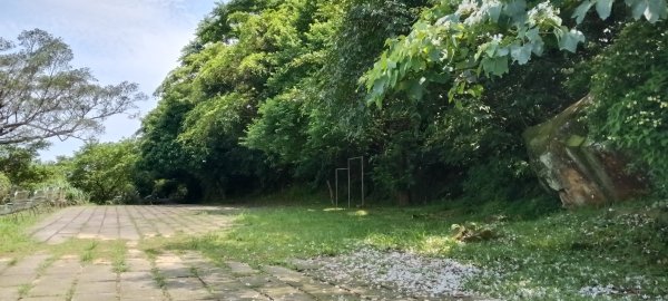 瑞芳區琉榔路觀光步道-小粗坑古道(小粗坑山+粗坑口山)3053299