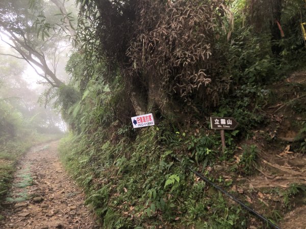 暗黑部落之立霧山仙境1137628