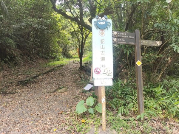 八里沙雕展&淡江老街3093539