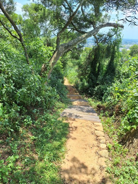 田中麒麟山森林步道202508172862032