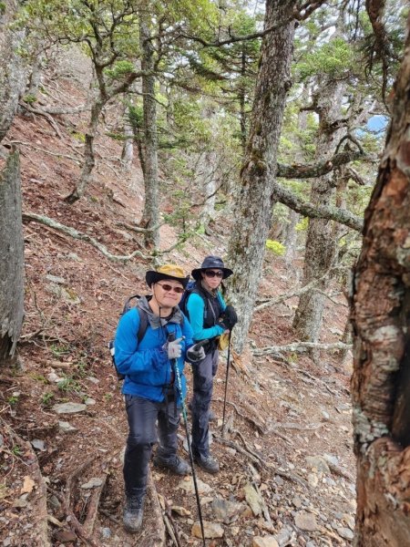 玉山群峰前五峰後四峰2610660