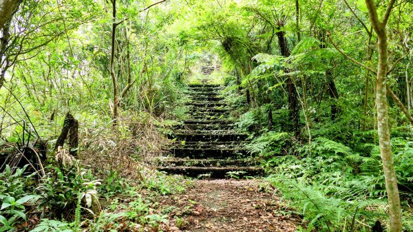 石碇大崙,人頭面山,獅公髻尾山2800416