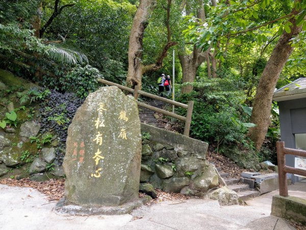 《觀音山步道》福隆山步道、硬漢嶺步道、楓櫃斗湖步道、林梢步道 (2020/8/16)1433277