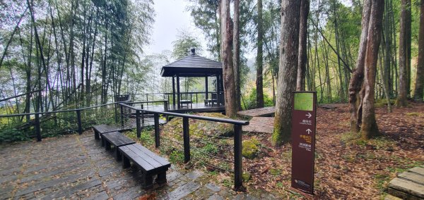 2025-01-18頂湖步道2694217