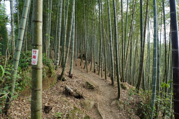 南投 鹿谷 龍鳳山、龍鳳峽山、三叉崙山、水桶寮山、內樹皮山、羊頭崙山、志騰山、竹崙山、溪頭山2962249