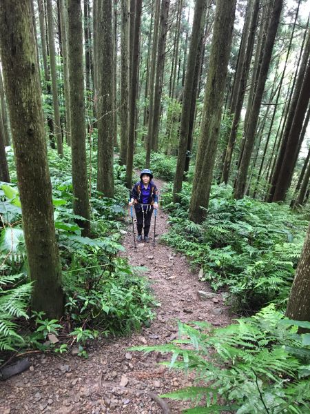 2018/06/18高台山連走島田三山353652