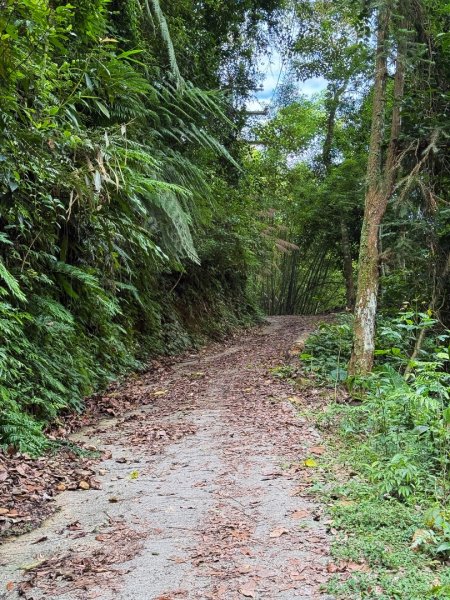 埔里能高瀑布-慶安步道-觀景台2801462