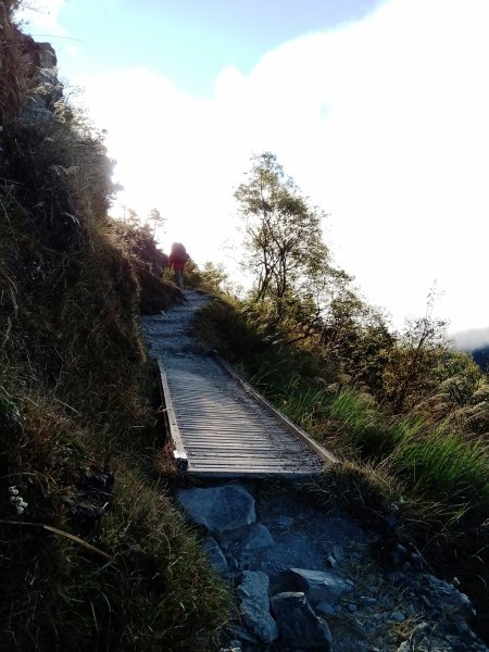 玉山主峰雲海日出765270