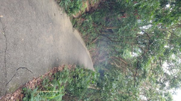 收集小百岳－台中太平三汀山1444040