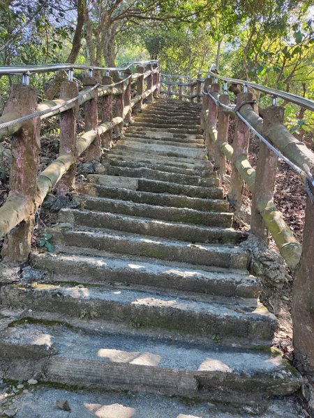 2023.12.24 旗尾山2838052